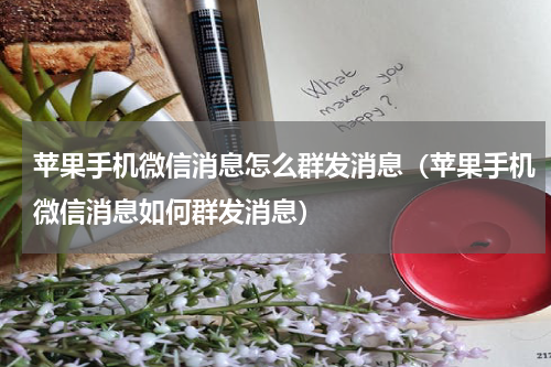 苹果手机微信消息怎么群发消息（苹果手机微信消息如何群发消息）