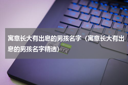 寓意长大有出息的男孩名字（寓意长大有出息的男孩名字精选）