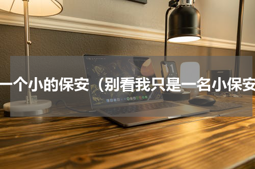 当一个小的保安（别看我只是一名小保安）