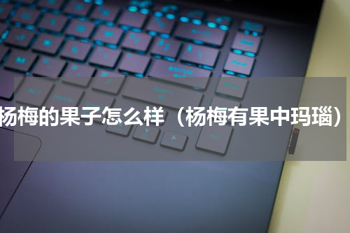 杨梅的果子怎么样（杨梅有果中玛瑙）