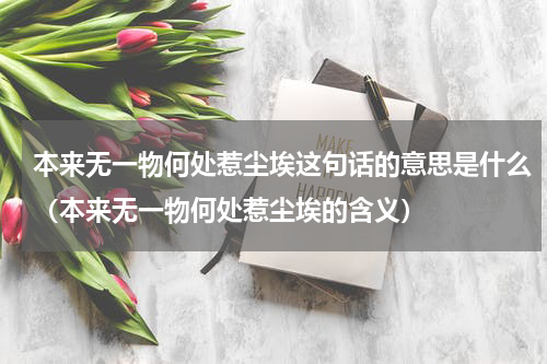 本来无一物何处惹尘埃这句话的意思是什么（本来无一物何处惹尘埃的含义）