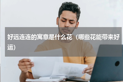 好远连连的寓意是什么花（哪些花能带来好运）