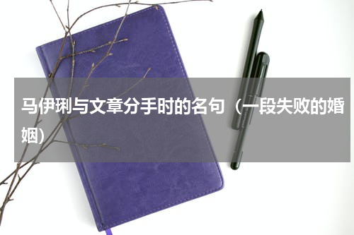 马伊琍与文章分手时的名句（一段失败的婚姻）