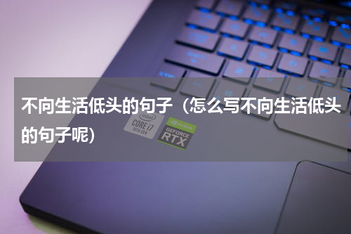 不向生活低头的句子（怎么写不向生活低头的句子呢）
