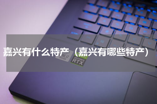 嘉兴有什么特产（嘉兴有哪些特产）