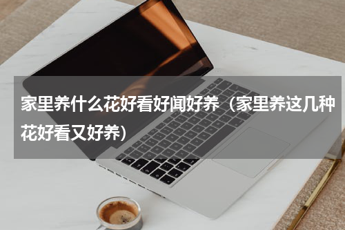 家里养什么花好看好闻好养（家里养这几种花好看又好养）