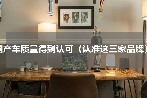 国产车质量得到认可（认准这三家品牌）