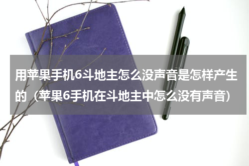 用苹果手机6斗地主怎么没声音是怎样产生的（苹果6手机在斗地主中怎么没有声音）