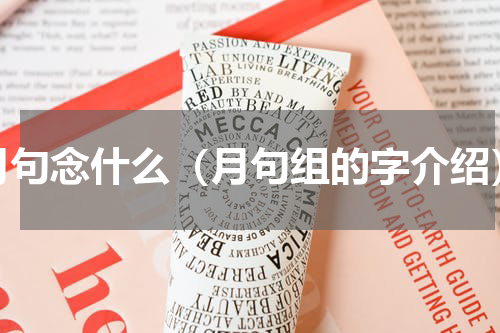 月句念什么（月句组的字介绍）