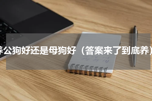 养公狗好还是母狗好（答案来了到底养）