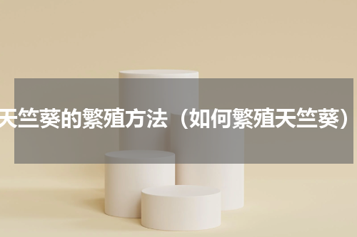 天竺葵的繁殖方法（如何繁殖天竺葵）