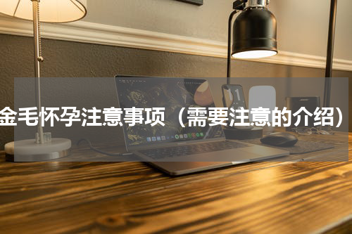金毛怀孕注意事项（需要注意的介绍）