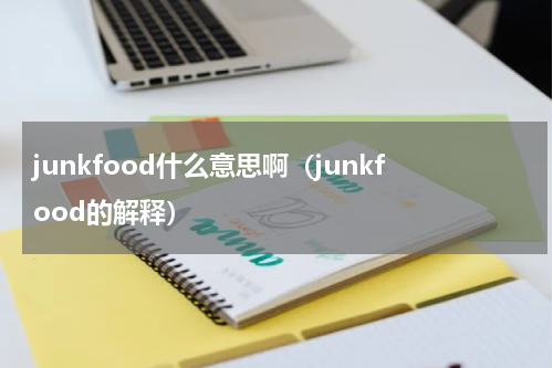 junkfood什么意思啊（junkfood的解释）