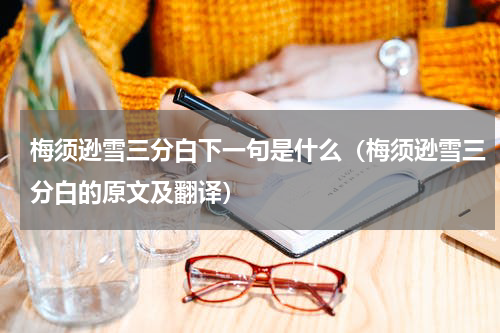 梅须逊雪三分白下一句是什么（梅须逊雪三分白的原文及翻译）