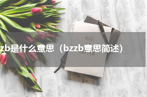 bzzb是什么意思（bzzb意思简述）