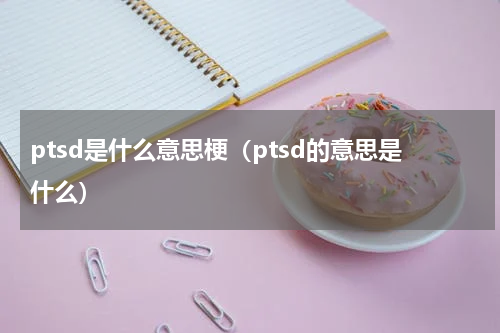 ptsd是什么意思梗（ptsd的意思是什么）