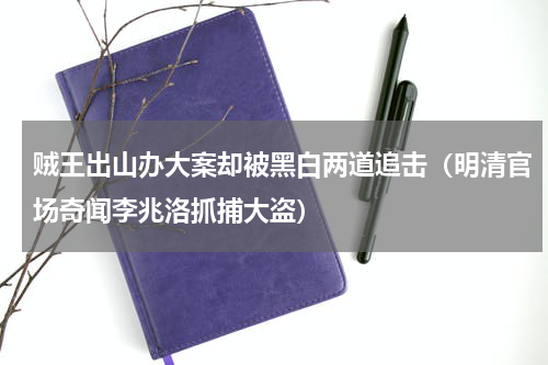 贼王出山办大案却被黑白两道追击（明清官场奇闻李兆洛抓捕大盗）