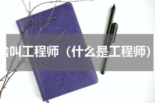 啥叫工程师（什么是工程师）