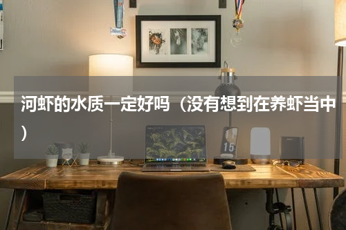 河虾的水质一定好吗（没有想到在养虾当中）