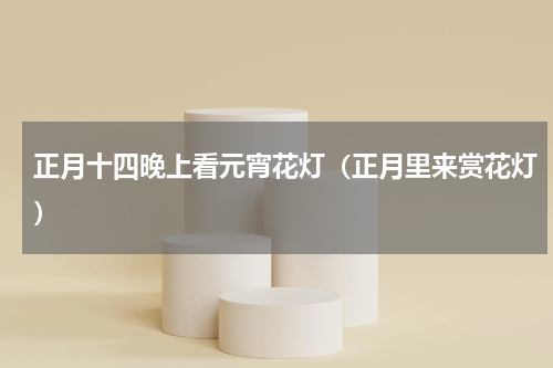 正月十四晚上看元宵花灯（正月里来赏花灯）