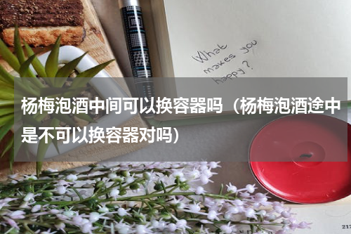 杨梅泡酒中间可以换容器吗（杨梅泡酒途中是不可以换容器对吗）