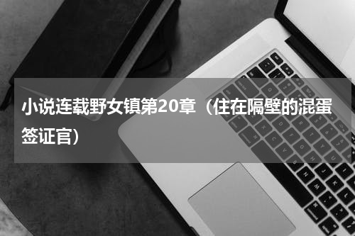 小说连载野女镇第20章（住在隔壁的混蛋签证官）