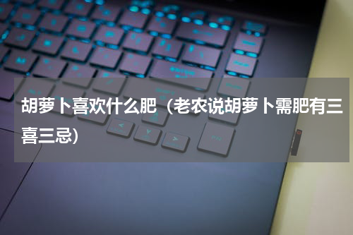 胡萝卜喜欢什么肥（老农说胡萝卜需肥有三喜三忌）