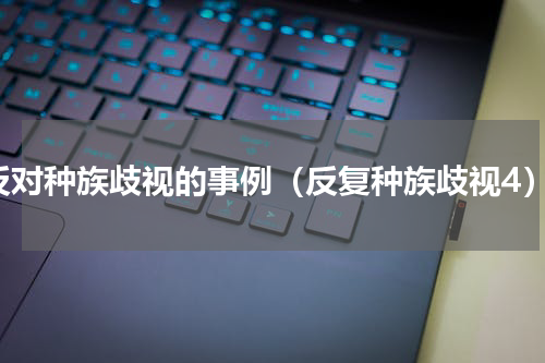 反对种族歧视的事例（反复种族歧视4）