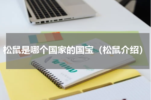 松鼠是哪个国家的国宝（松鼠介绍）