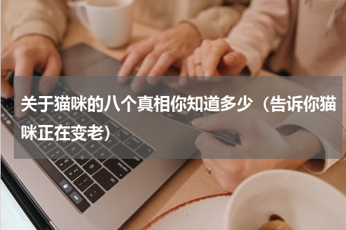 关于猫咪的八个真相你知道多少（告诉你猫咪正在变老）