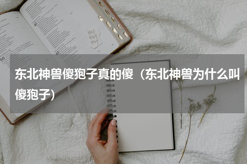 东北神兽傻狍子真的傻（东北神兽为什么叫傻狍子）