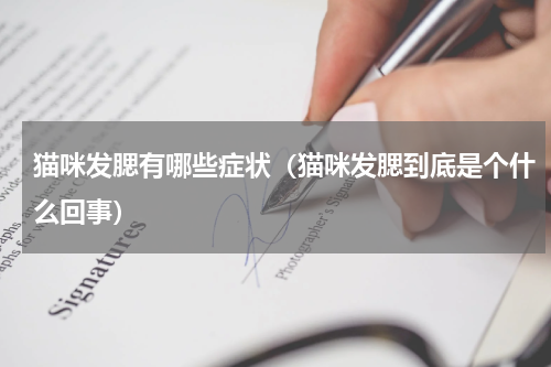 猫咪发腮有哪些症状（猫咪发腮到底是个什么回事）