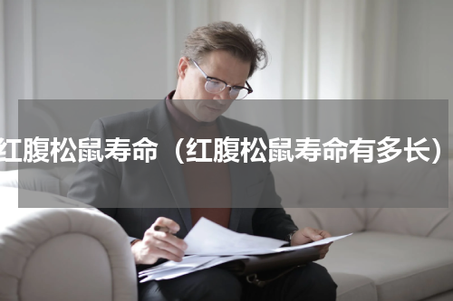 红腹松鼠寿命（红腹松鼠寿命有多长）