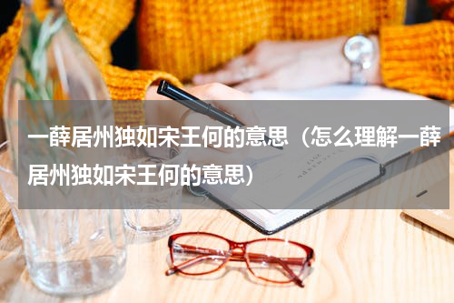 一薛居州独如宋王何的意思（怎么理解一薛居州独如宋王何的意思）