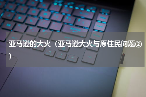 亚马逊的大火（亚马逊大火与原住民问题②）