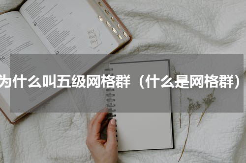 为什么叫五级网格群（什么是网格群）