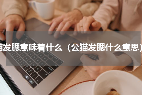 猫发腮意味着什么（公猫发腮什么意思）