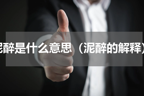 泥醉是什么意思（泥醉的解释）