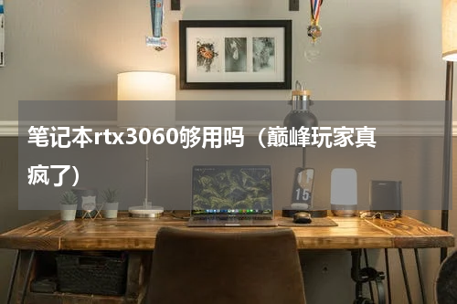 笔记本rtx3060够用吗（巅峰玩家真疯了）