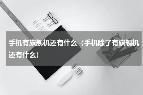 手机有旗舰机还有什么（手机除了有旗舰机还有什么）
