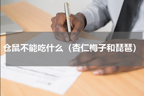仓鼠不能吃什么（杏仁梅子和琵琶）