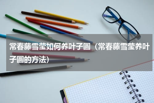 常春藤雪莹如何养叶子圆（常春藤雪莹养叶子圆的方法）