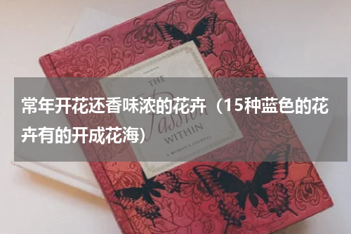 常年开花还香味浓的花卉（15种蓝色的花卉有的开成花海）