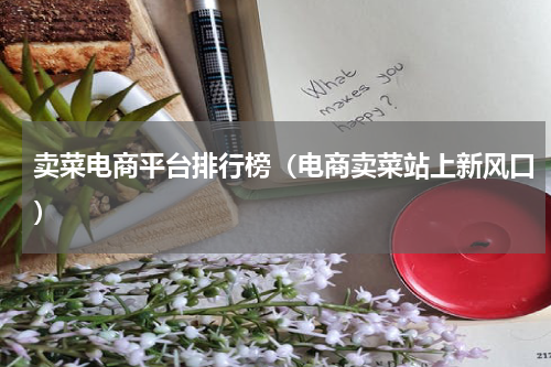卖菜电商平台排行榜（电商卖菜站上新风口）
