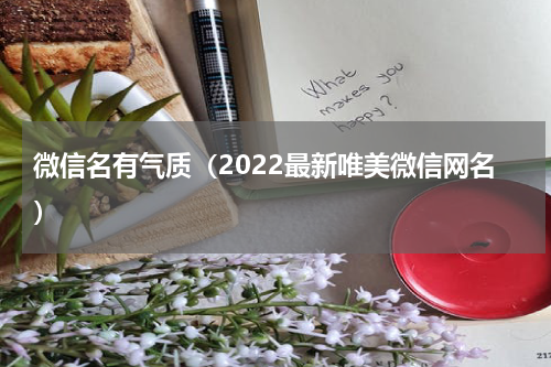 微信名有气质（2022最新唯美微信网名）