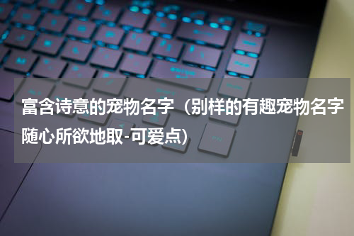 富含诗意的宠物名字（别样的有趣宠物名字随心所欲地取-可爱点）