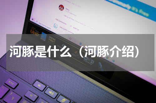 河豚是什么（河豚介绍）