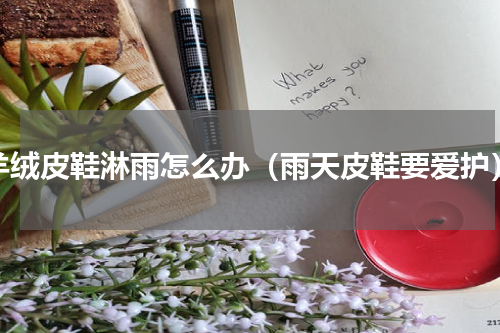羊绒皮鞋淋雨怎么办（雨天皮鞋要爱护）