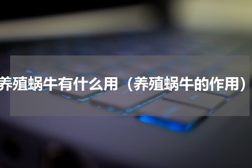 养殖蜗牛有什么用（养殖蜗牛的作用）
