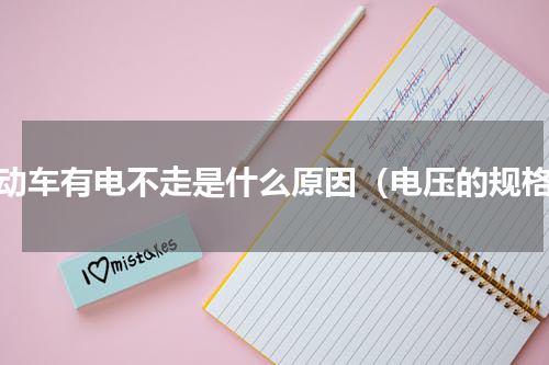 电动车有电不走是什么原因（电压的规格）